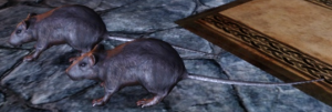 Dragon Age Rat